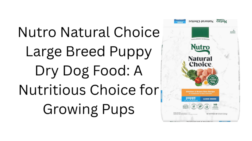 Nutro Natural Choice Large Breed Puppy Dry Dog Food A Nutritious Choice for Growing Pups.png