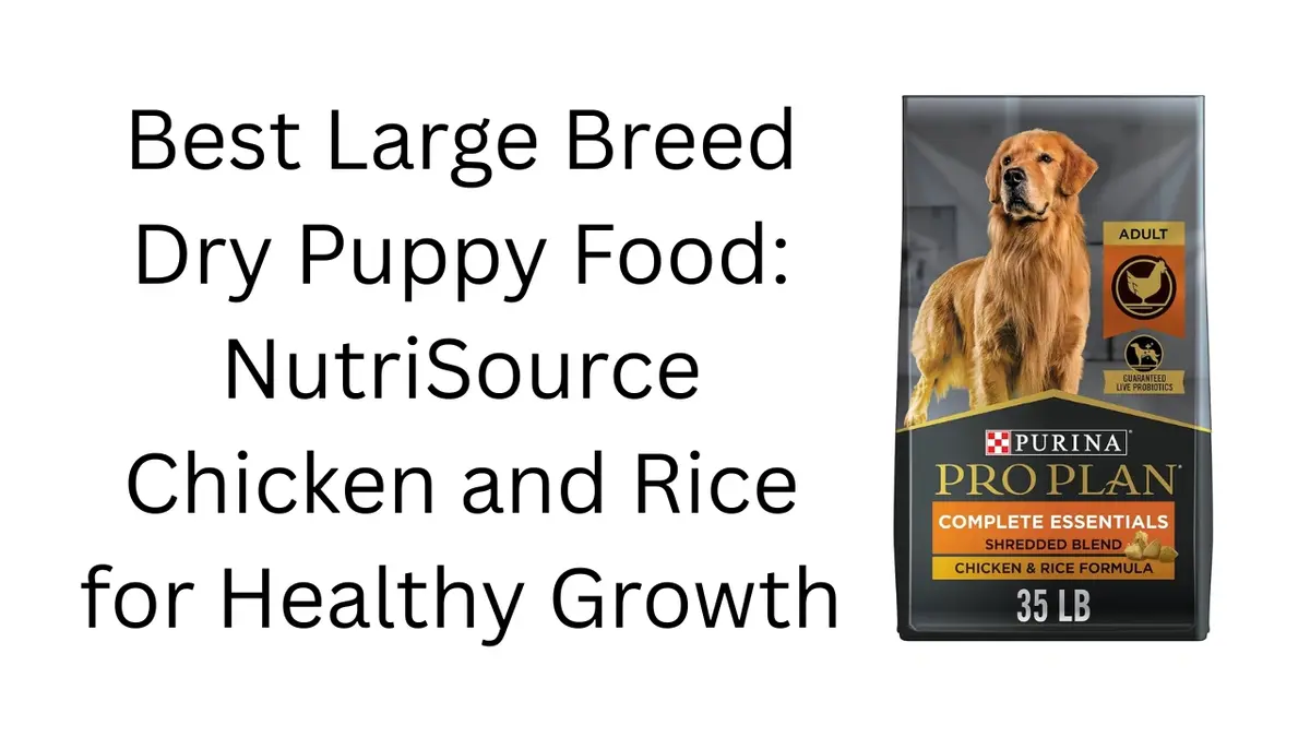 Best Large Breed Dry Puppy Food: NutriSource Chicken and Rice for Healthy Growth