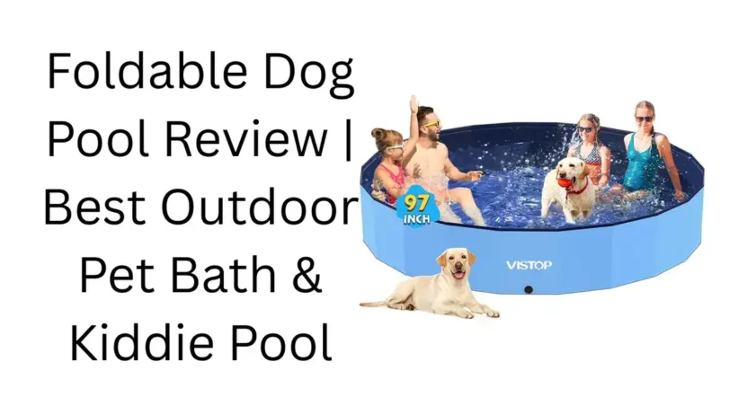 Foldable Dog Pool Review | Best Outdoor Pet Bath & Kiddie Pool